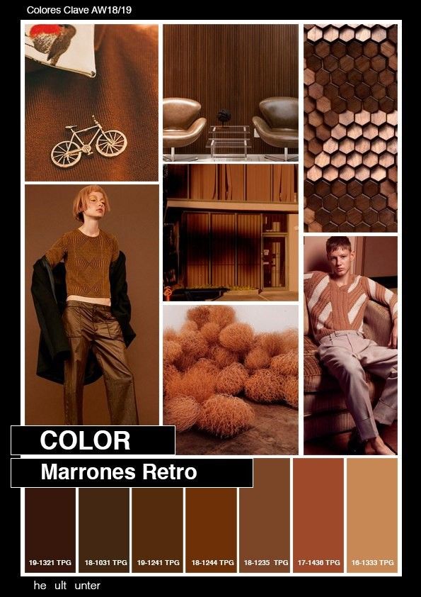 imagen de whatsapp 2025 09 13 a las 12.58.16 df5bf9cc